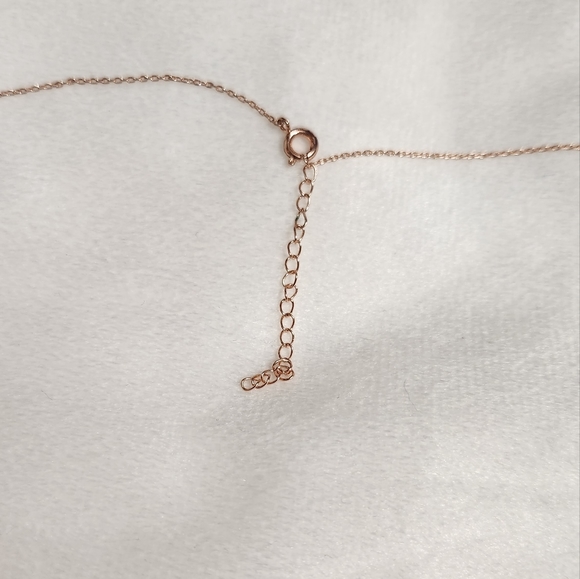 Heart Rose Gold Necklace - Picture 5 of 5